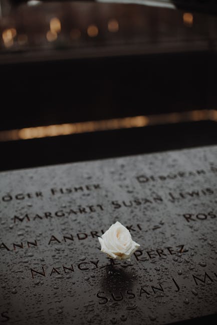 Dedicated Support Staff